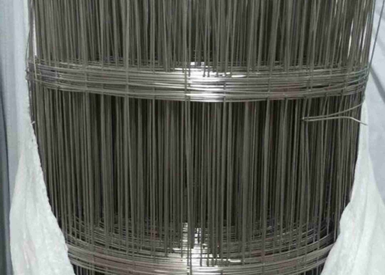 4“ X 2“ het Openen 0.105inch de Gelaste Draad Mesh Non Rusting van de Diameterdraad SS