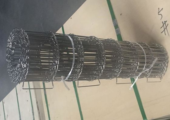 DIN 0.9mm tot 2.8mm Enige de Lijnrand van de DraadTransportband of Dubbele Lijnrand